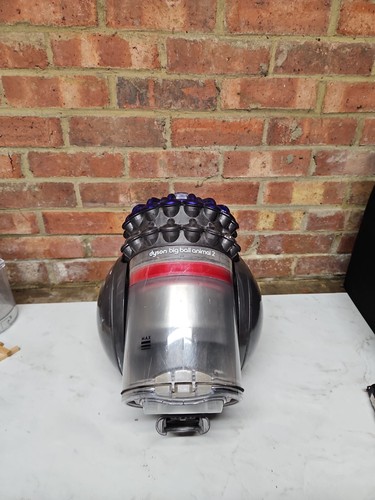 Dyson big ball - animal, 2